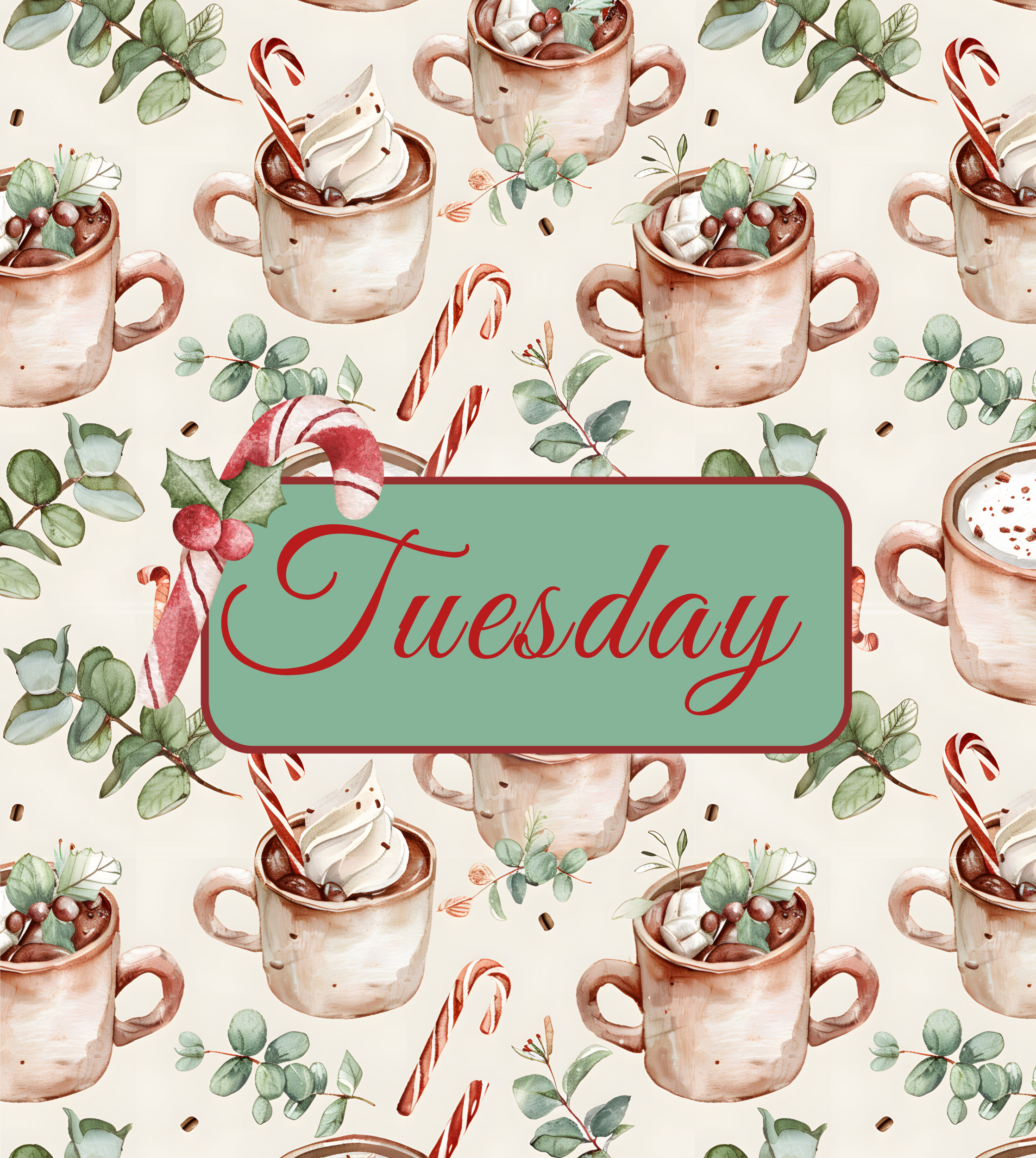 Christmas Swedish Dish Cloths 7pk