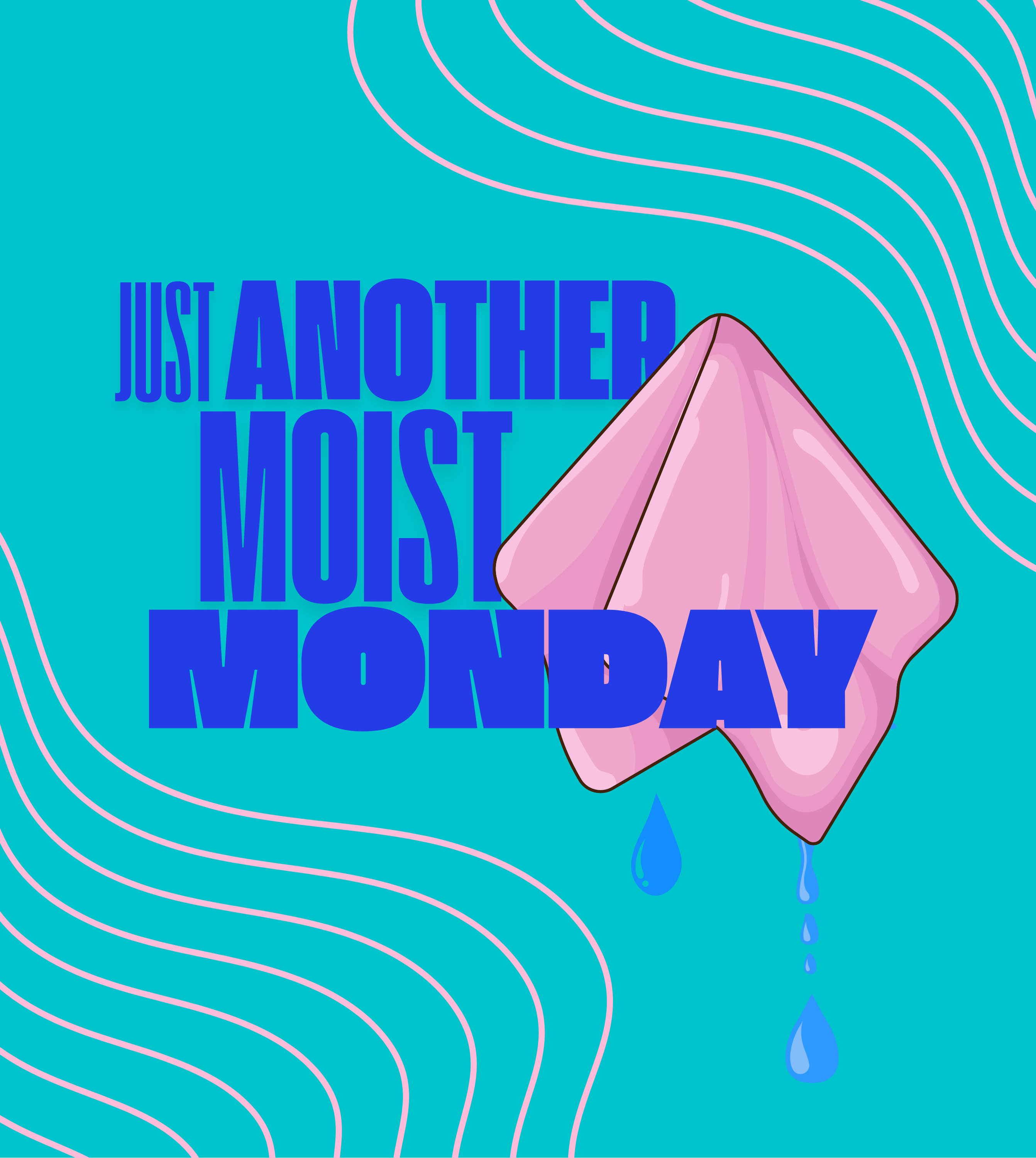 Cheeky Design Swedish Dish Cloth. Daily edition 7pk